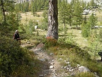 Scendiamo tra i larici
